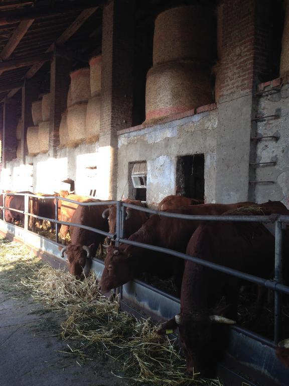 Cascina Battivacco Milão Exterior foto